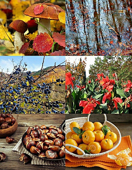 Осенней песни завершающий куплет