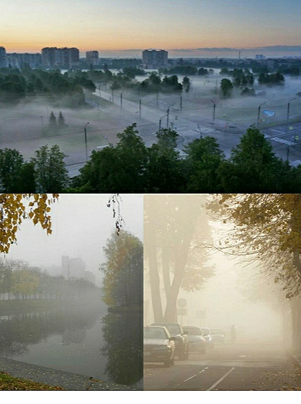 Заботливый туман