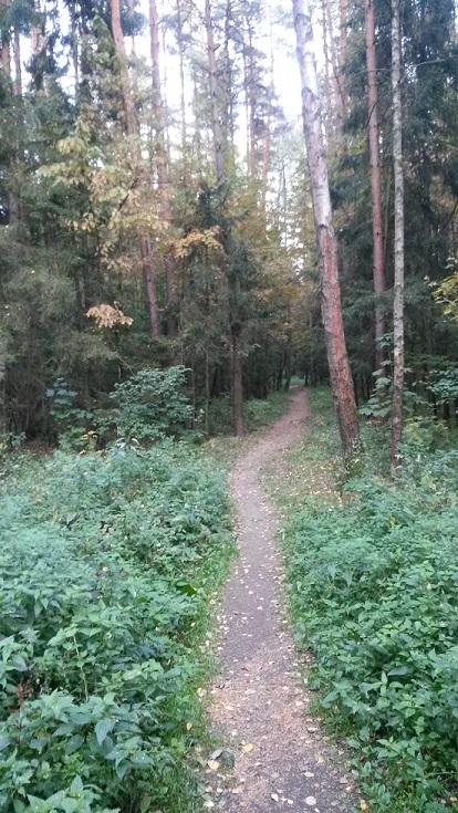 На тропах, где бродили мы с детьми