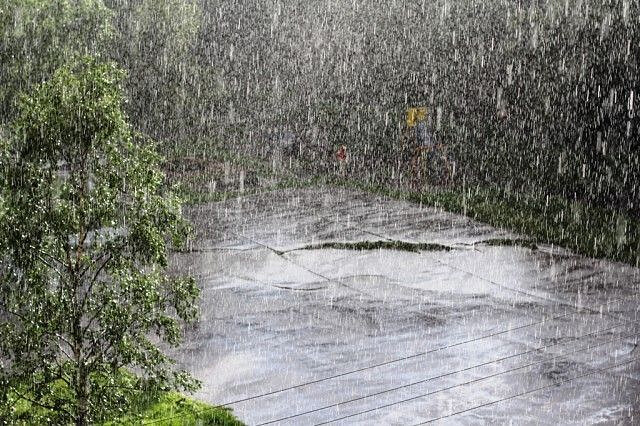 Дождь шумным...