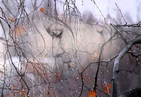 Осень, почему мы плачем?