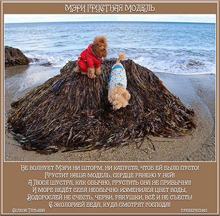 Мэри грустная модель