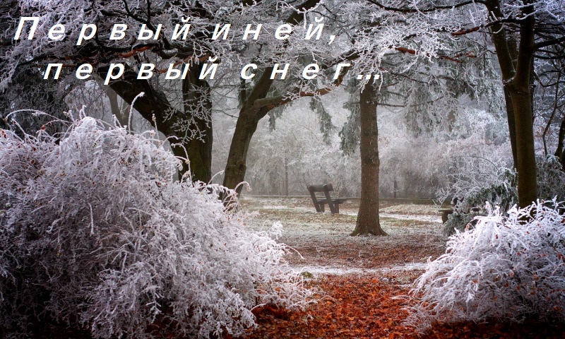 Первый иней, первый снег... Конкурс