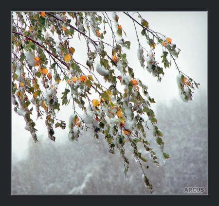 Где ты, солнце красное, ясное?