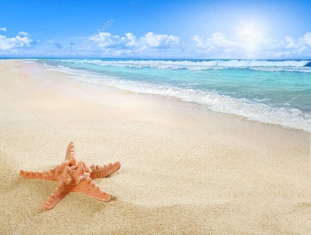 Разумный человек - 7