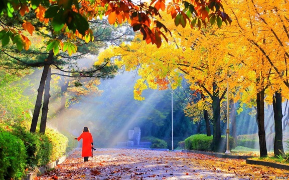 Бесплатное счастье