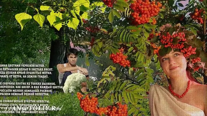 Любовь и голуби