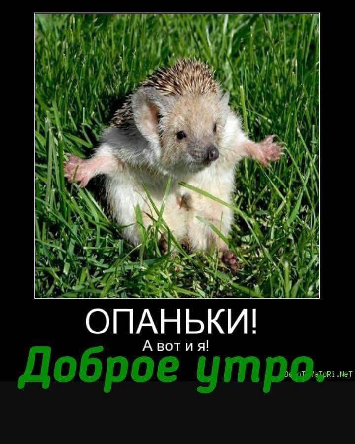 Прикольные Картинки Со Словом Здрасьте