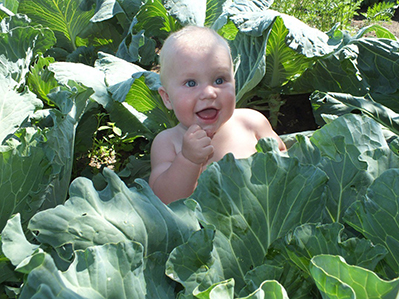 Капустные посиделки. 18 плюс