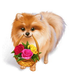 Спешило весёлое Счастье