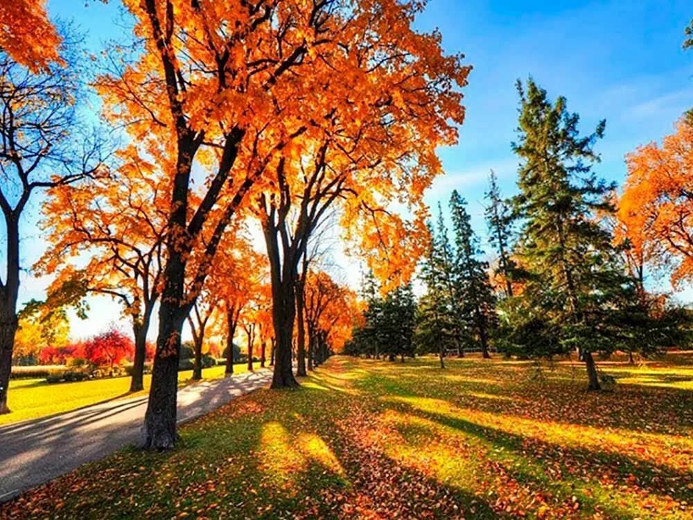 Весна моей осени