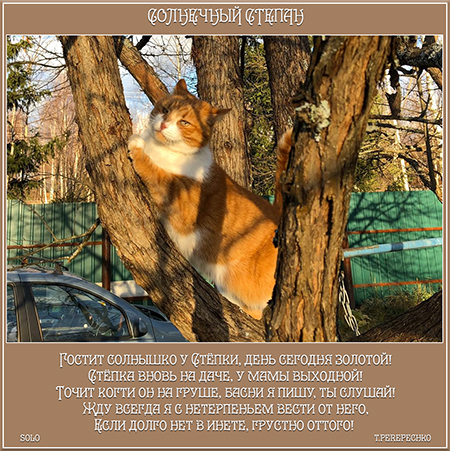 Солнечный Степан