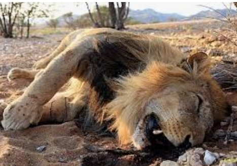 Басня о том и о сём. Часть 7 далеко не последняя