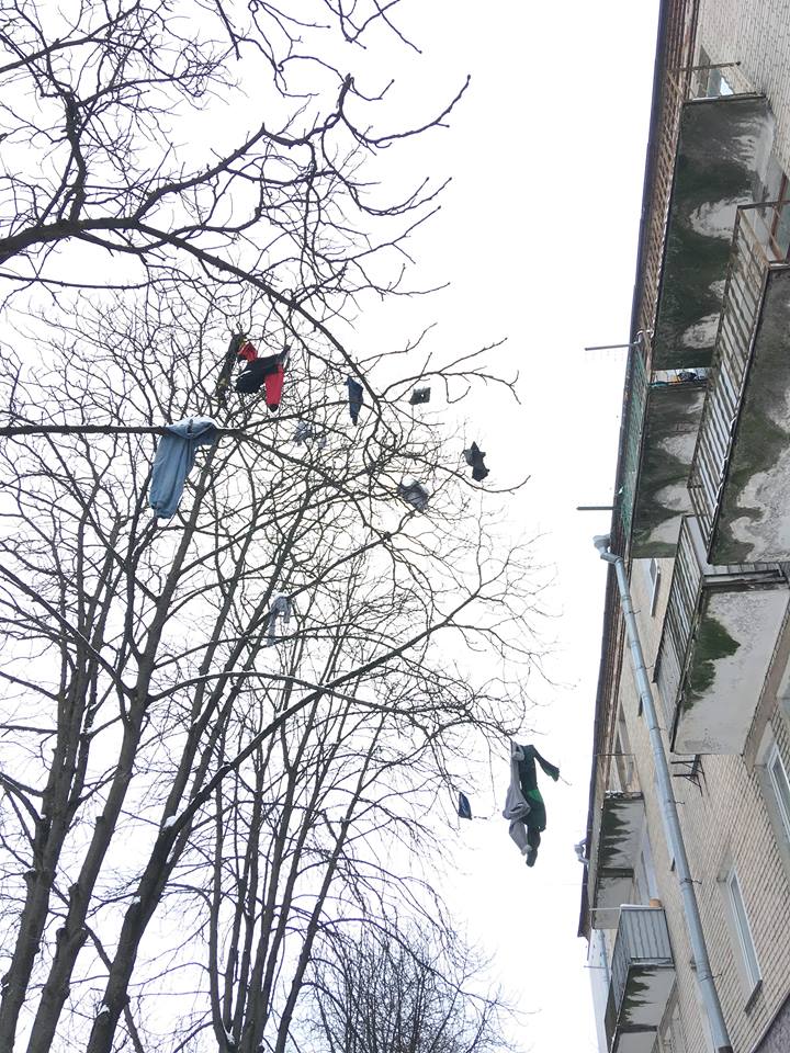 Трусы на дереве