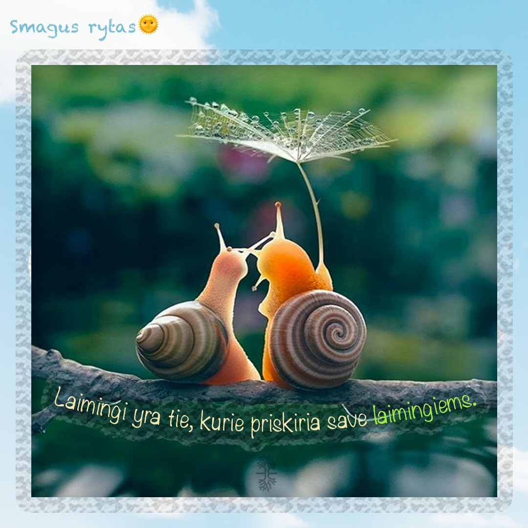 Из цикла Медведь ищет ПА РОЧ КУ 74 (Валерий Корешков) / Стихи.ру