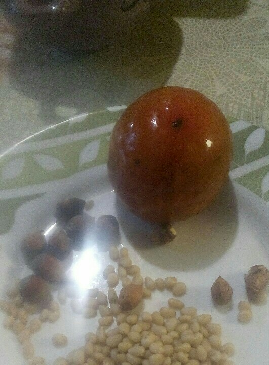 Час возможностей неквадратный сонет