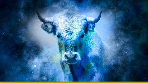 год Быка в эру Водолея