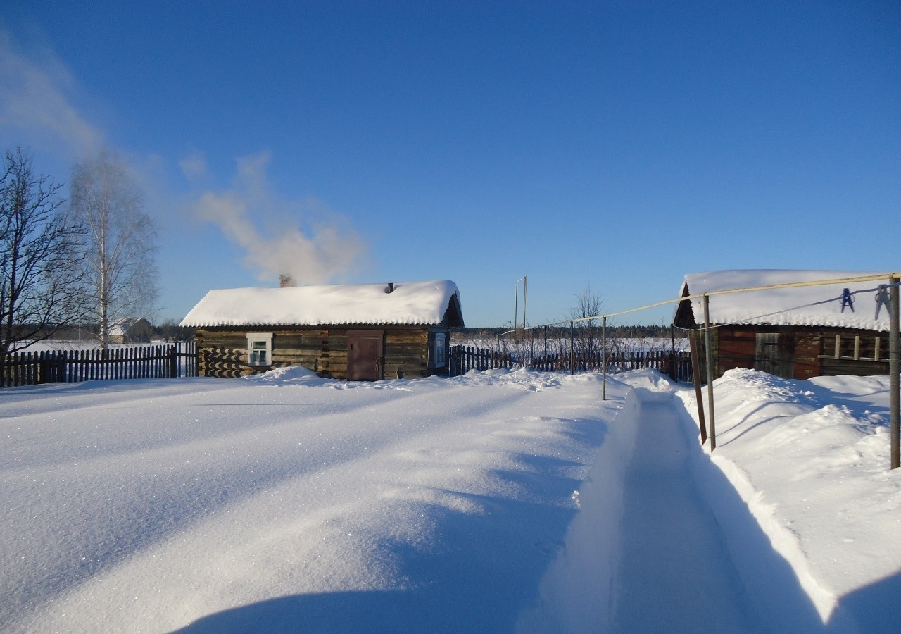 Я мыслю - значит, существую (Денис Золотовский) / Стихи.ру
