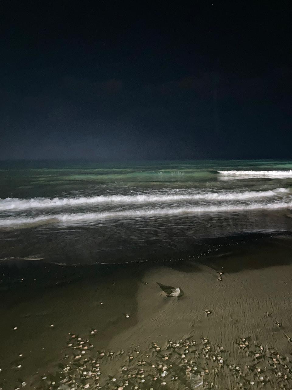 Взаимность с Жизнью