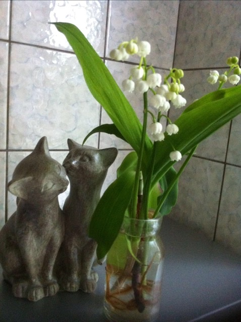 поздравляю