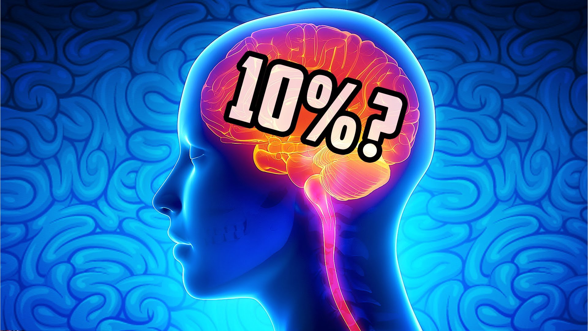 Мозг человека используется на процентов. Мозг картинка.