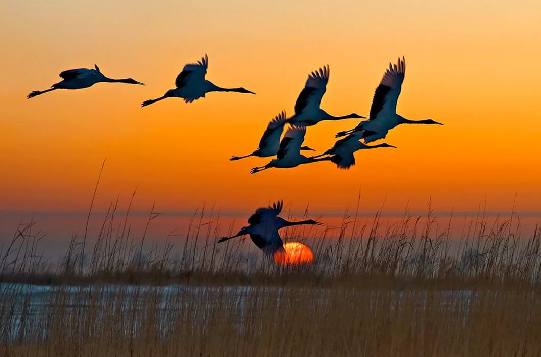 Осенних холодов ненастье...