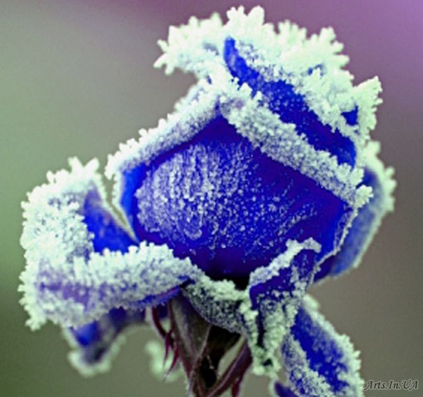 вновь о себе