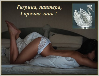 Тигрица, пантера, горячая лань!