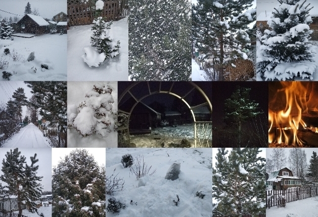 Выходные на сибирской даче в середине ноября...