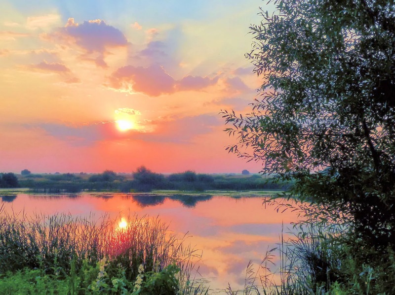 Смеялась, Господа благодаря!