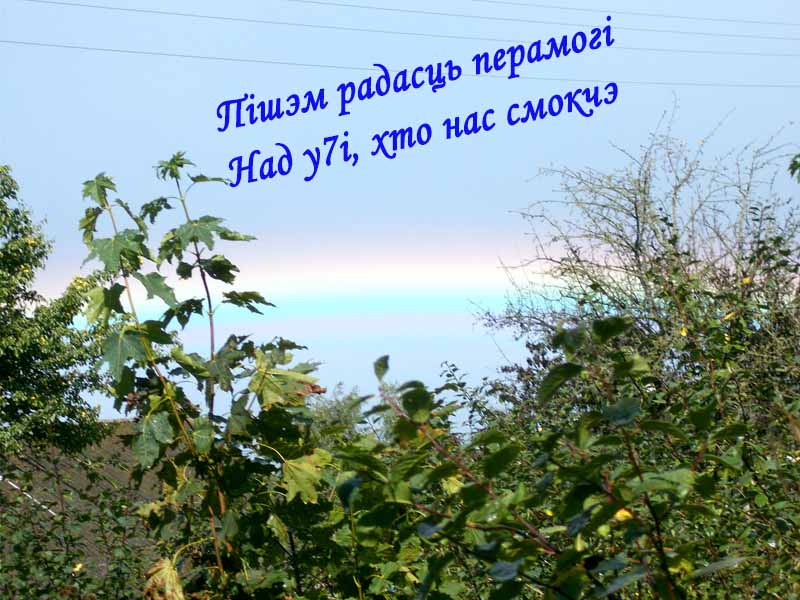 I с бiвнiй мамонтый дыркач