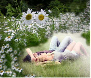 Мне приснилось ласковое лето...