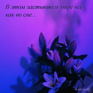 Синие тени играют в луче луны...