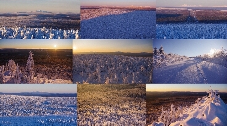 Родной ноябрь зовёт межгорной панорамой...