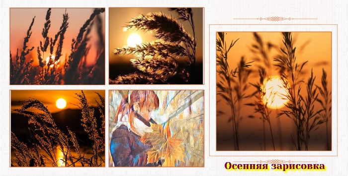 Степные камыши