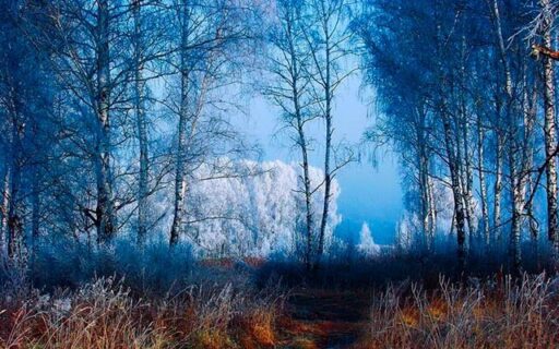 Последняя декада ноября