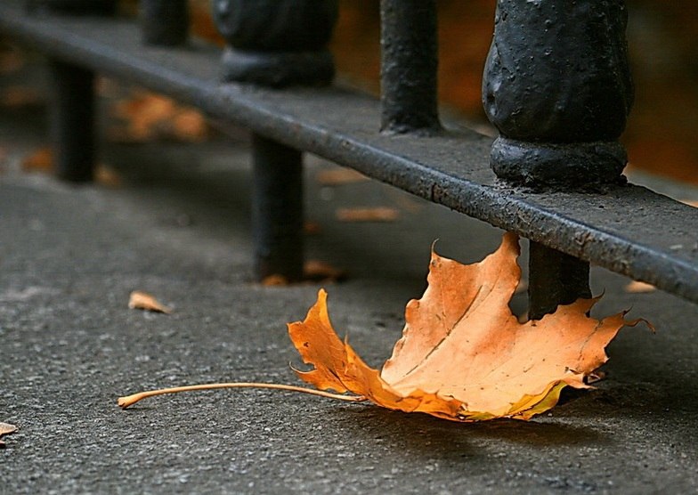 МС 141 (Николай Шабанов) / Стихи.ру