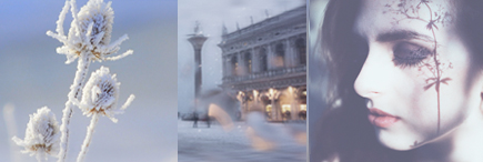 Меня привела любовь