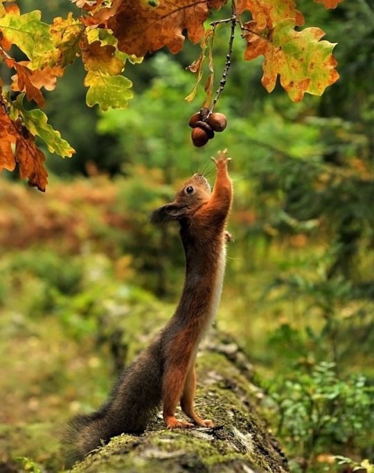 Осенний денёк