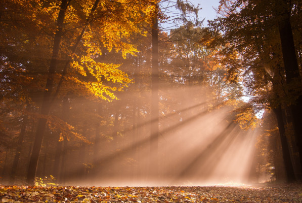 Зимы чувствую мгновение...