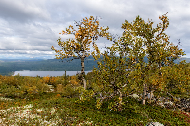 Окраина России