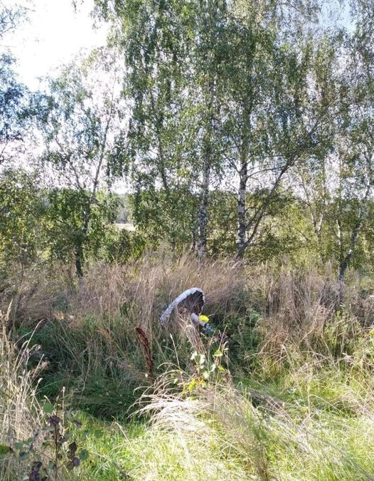 Наше бывшее место. Грибной косогор (Александр Кормашов) / Стихи.ру