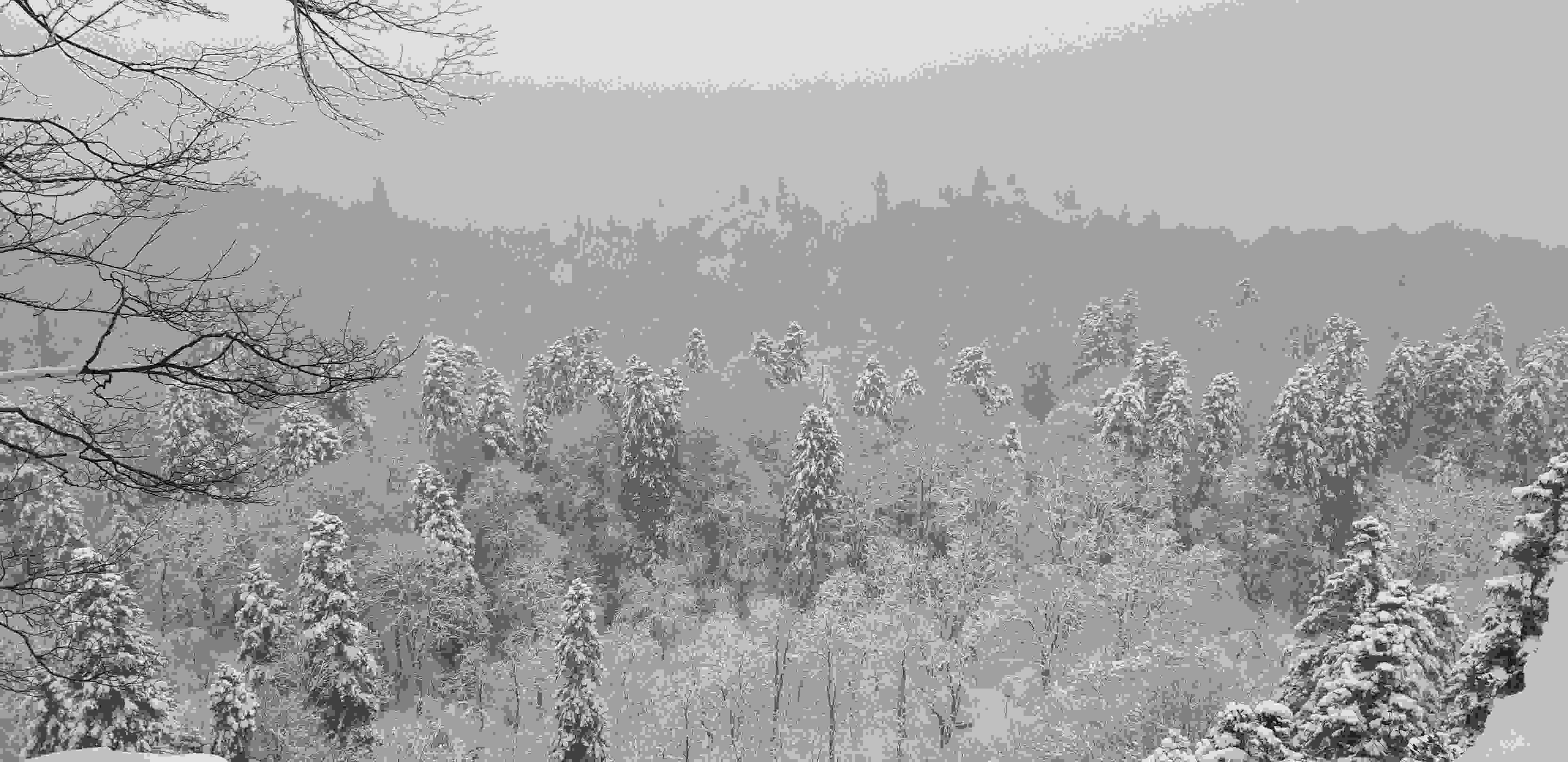 Проживи завтрашний день