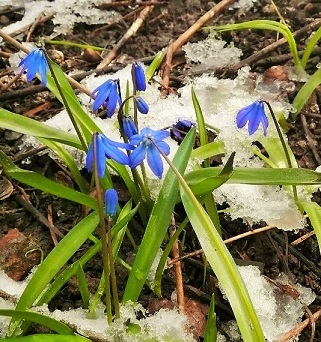 Я собираю счастье по крупицам