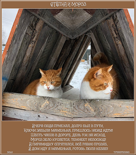 Стёпка и мороз