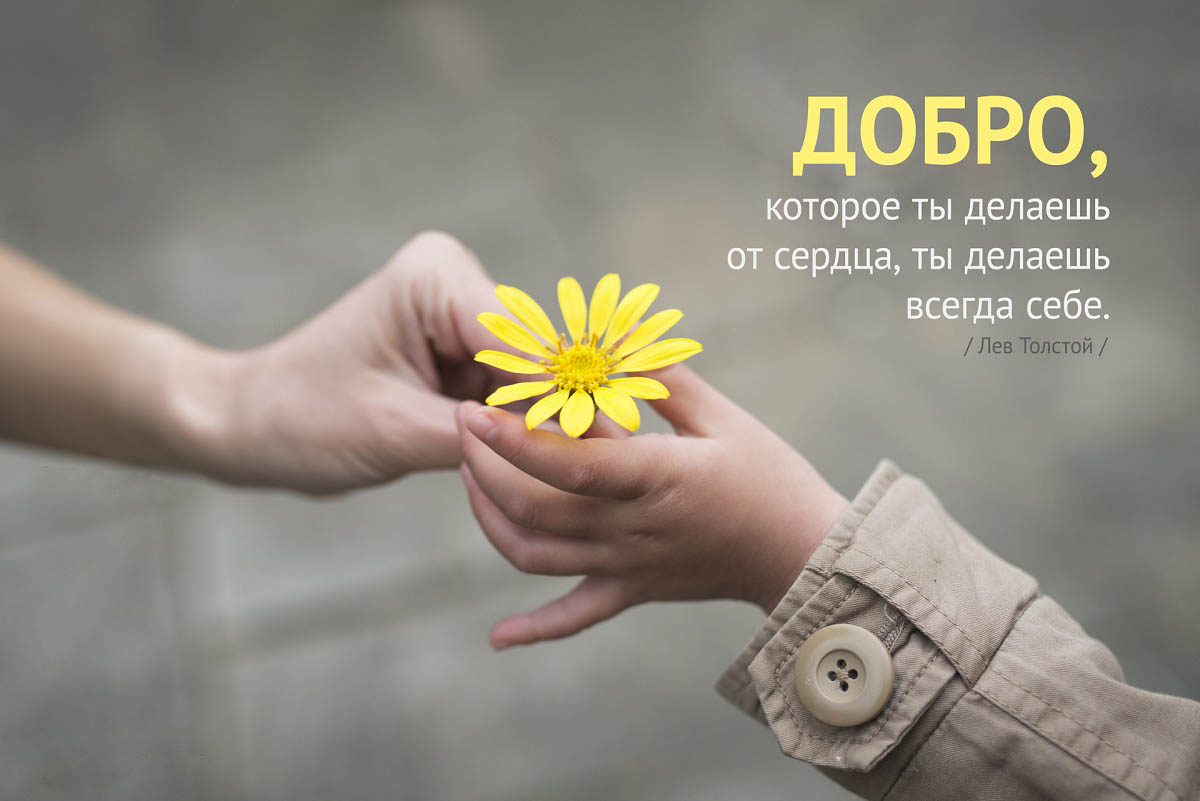 Доброта для всех