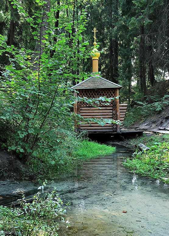 Картинки с родником в лесу