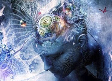 Неприглядная реальность