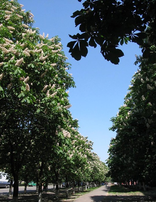 Я так любила возвращаться