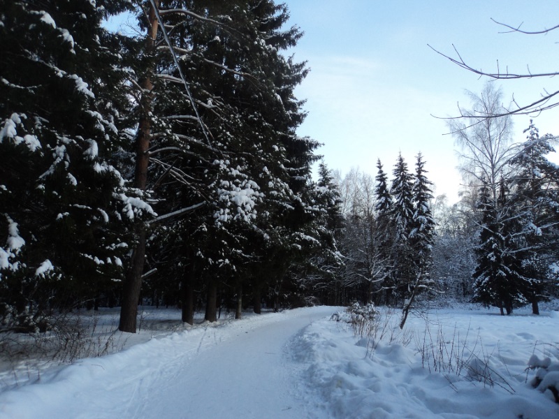 Отечество мое, ты - снежная страна